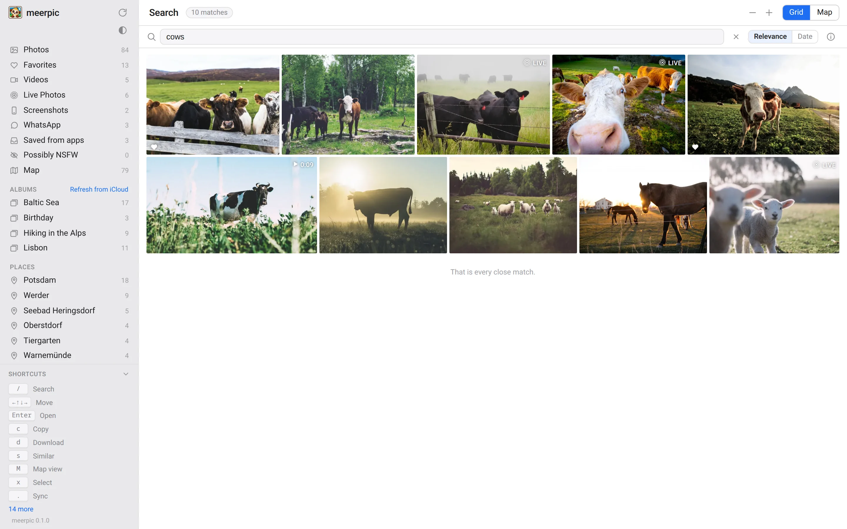 The meerpic search bar with the word cows typed in, and a grid of photos of cows as the result.